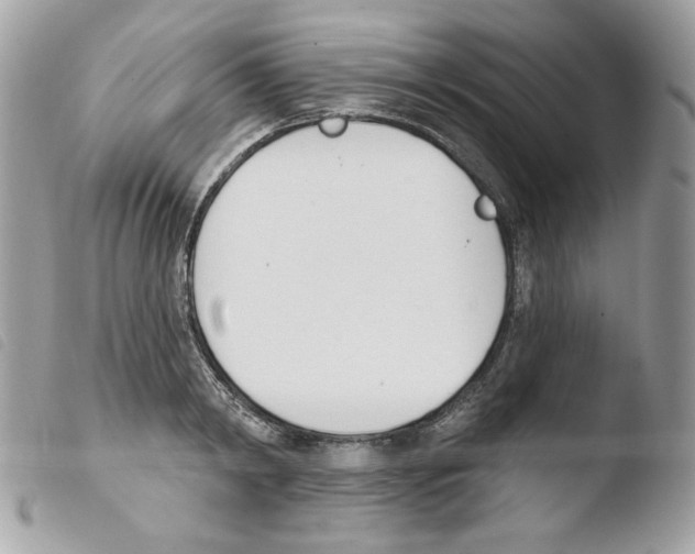 X0000103930798200810171750