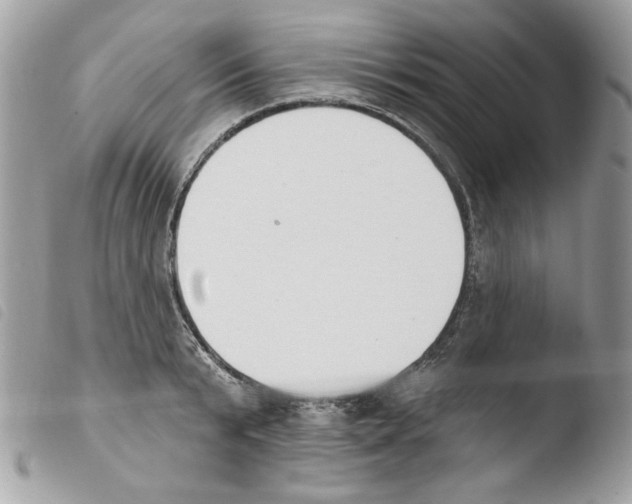 X0000103930799200810171750