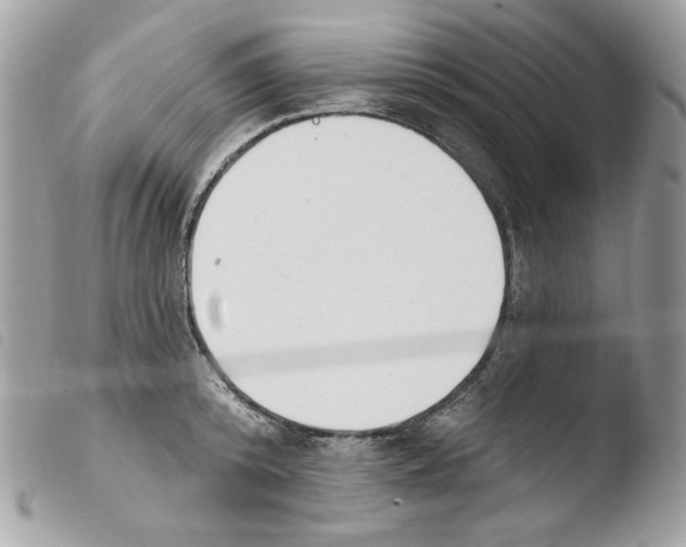 X0000103930800200810171750