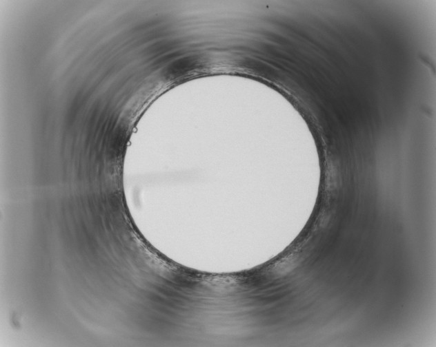 X0000103930801200810171750