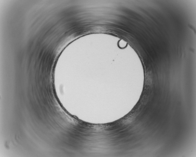 X0000103930803200810171750