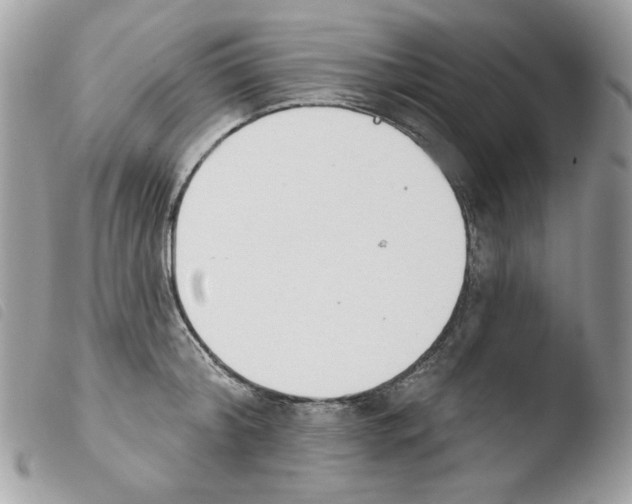 X0000103930804200810171750