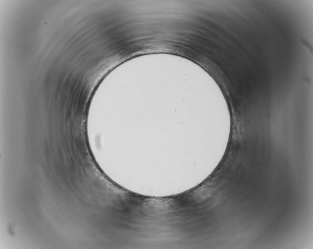 X0000103930805200810171750