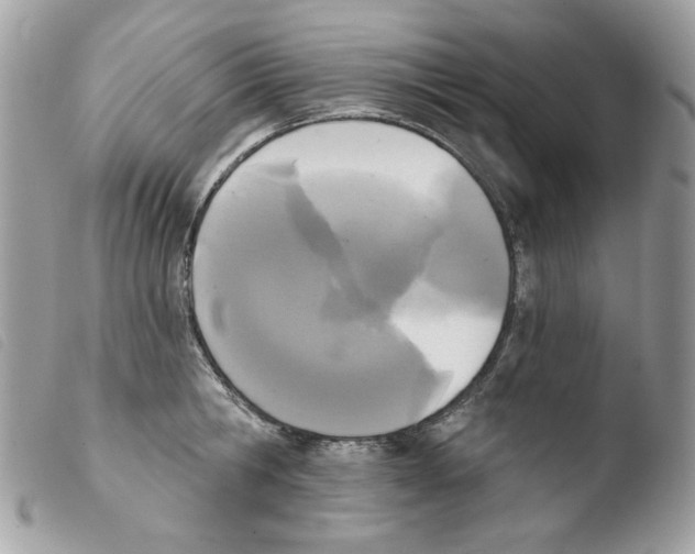 X0000103930806200810171750