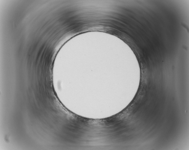 X0000103930808200810171750