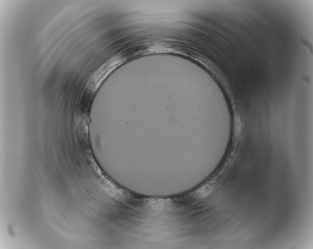 X0000103930809200810171750