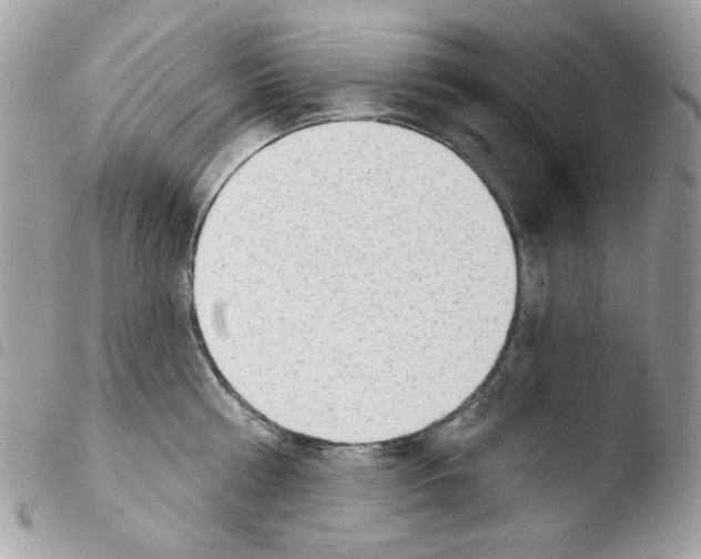 X0000103930810200810171750