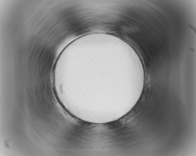 X0000103930811200810171750