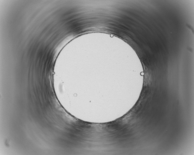 X0000103930812200810171750