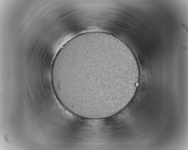 X0000103930813200810171750