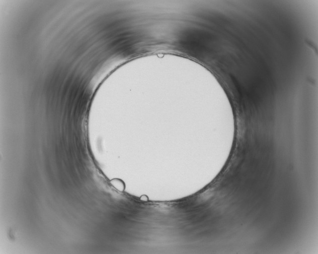 X0000103930814200810171750