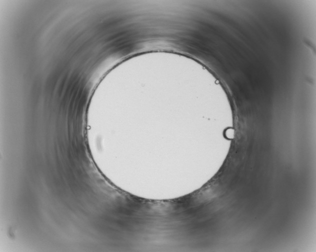 X0000103930815200810171750