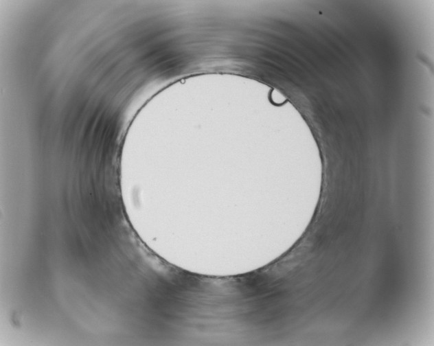 X0000103930816200810171750