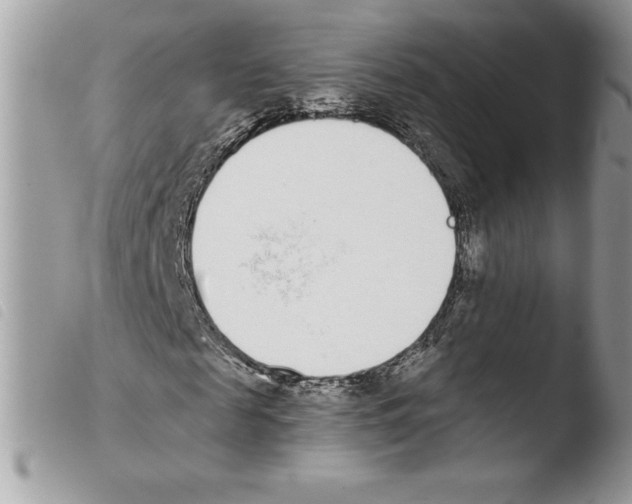 X0000103930817200810171749