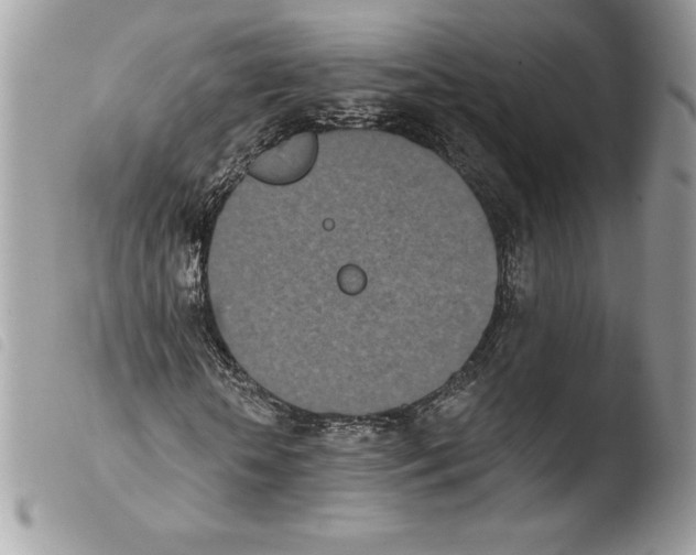 X0000103930818200810171749