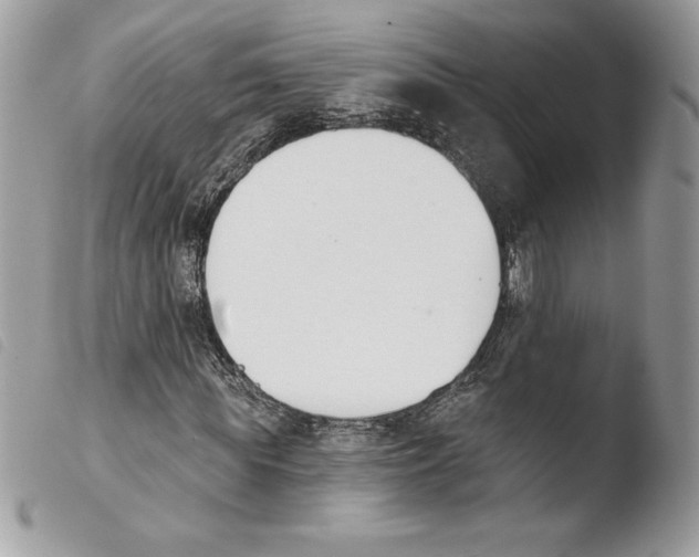 X0000103930819200810171749