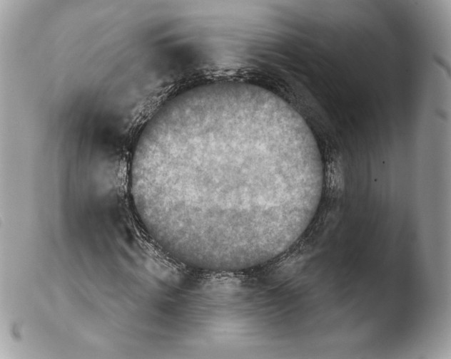 X0000103930820200810171749