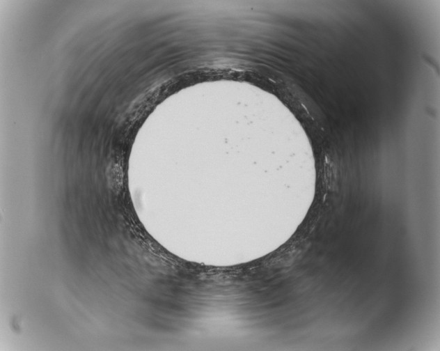 X0000103930821200810171749