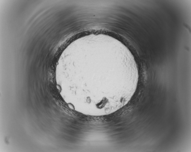 X0000103930823200810171749