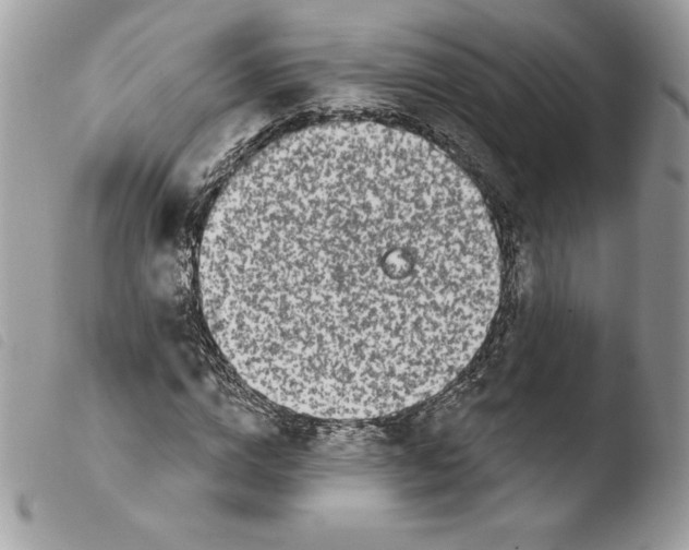 X0000103930824200810171749