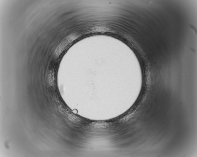 X0000103930825200810171749