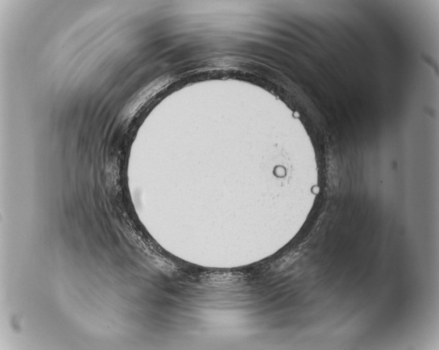 X0000103930826200810171749