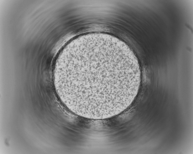 X0000103930828200810171749