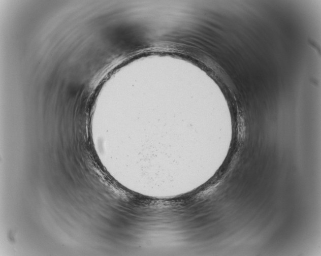 X0000103930829200810171749