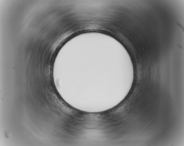 X0000103930831200810171749