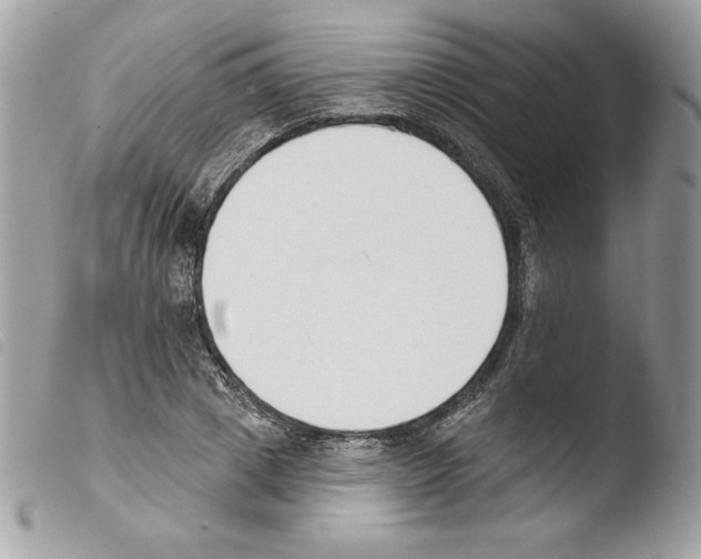 X0000103930833200810171750