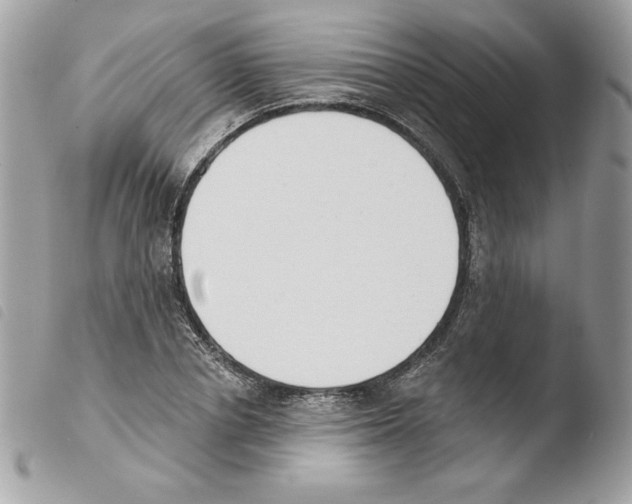 X0000103930834200810171750