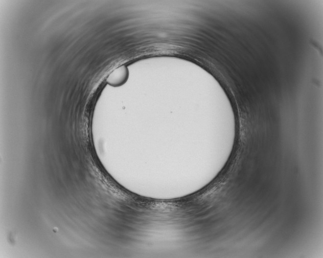 X0000103930835200810171750