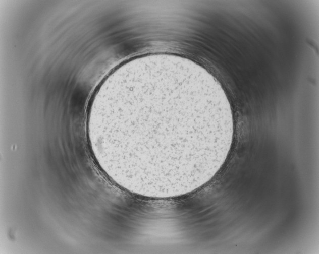 X0000103930836200810171750