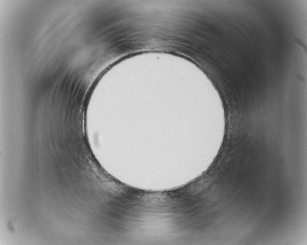 X0000103930838200810171750