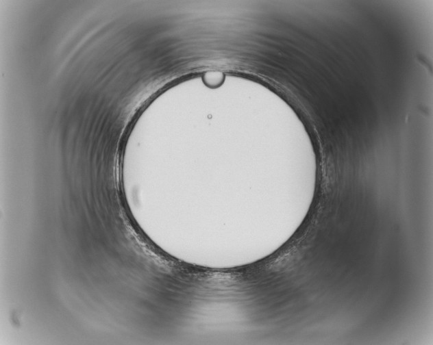 X0000103930839200810171750