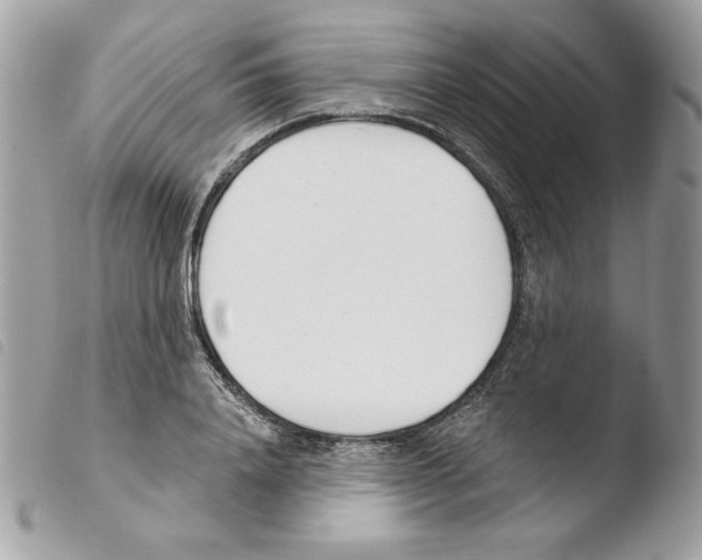 X0000103930840200810171750