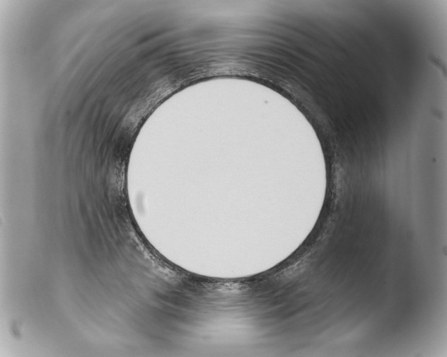 X0000103930841200810171750