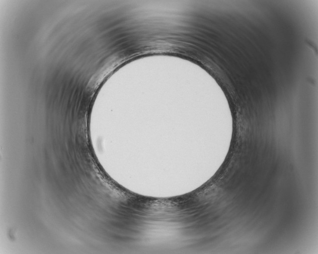 X0000103930842200810171750