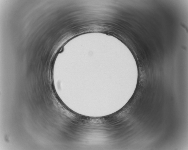 X0000103930843200810171750