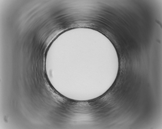 X0000103930844200810171750