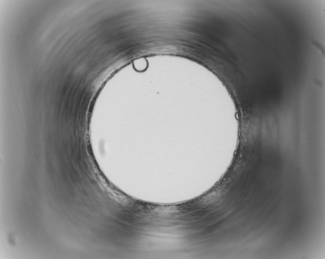 X0000103930845200810171750