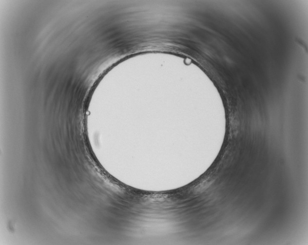 X0000103930846200810171750