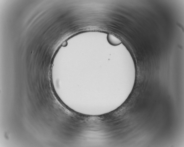 X0000103930847200810171750