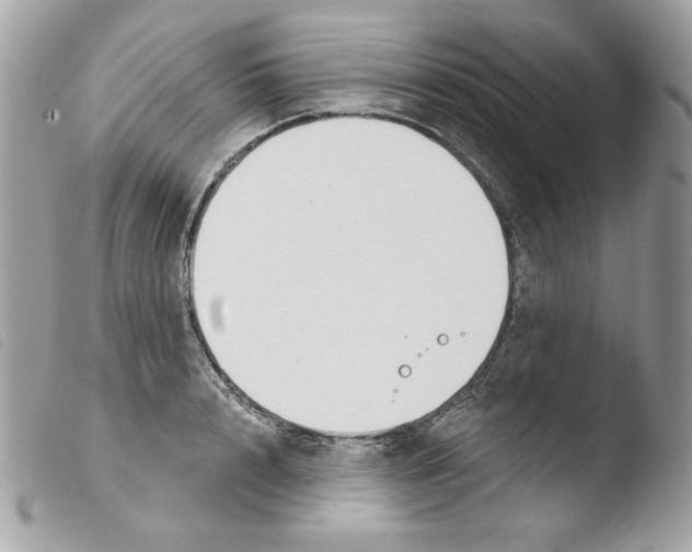 X0000103930848200810171750