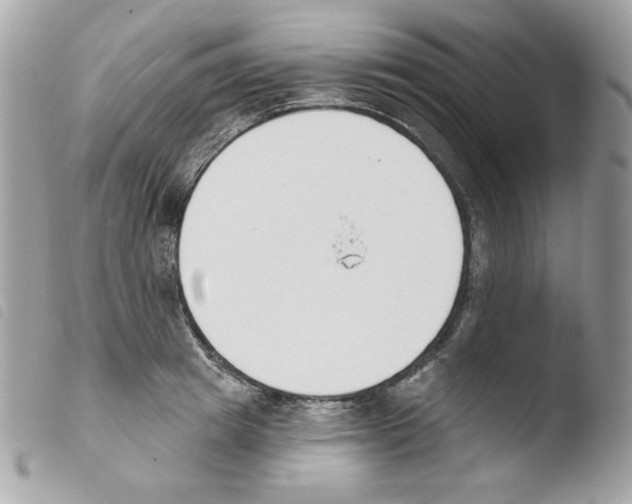 X0000103930849200810171750