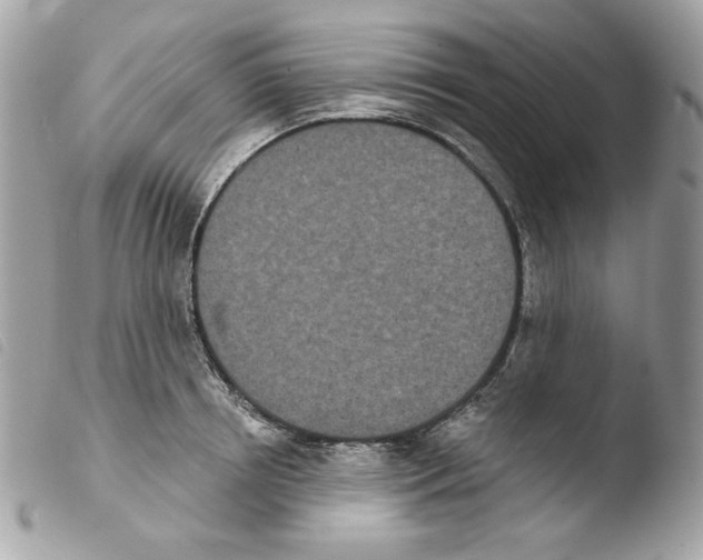 X0000103930850200810171750