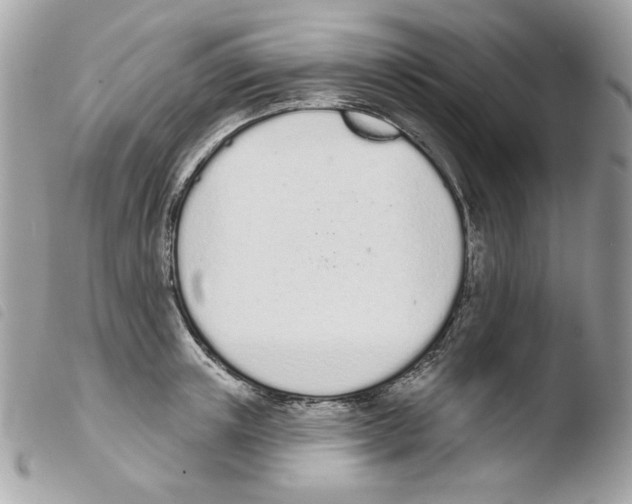 X0000103930851200810171750