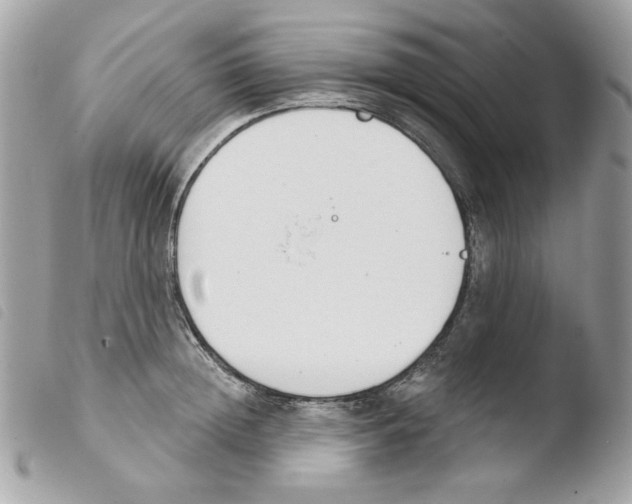 X0000103930852200810171750