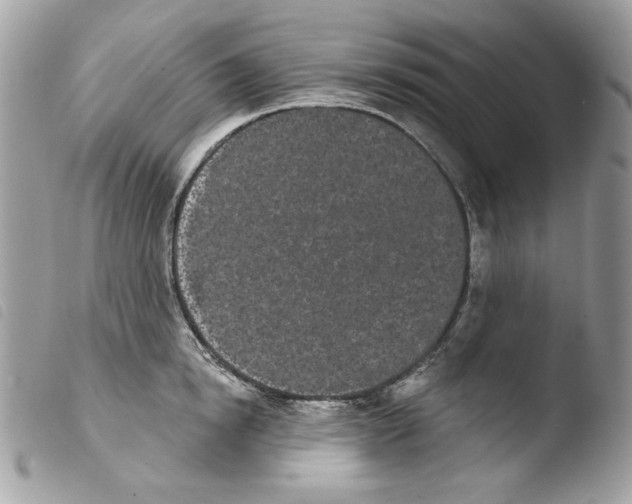 X0000103930854200810171750