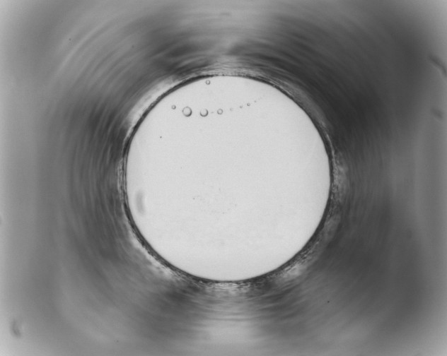 X0000103930855200810171750